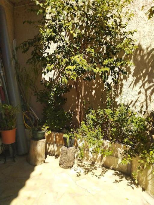 Studio Ideal Pour Deux Voyageurs Sur Marseille Exteriör bild