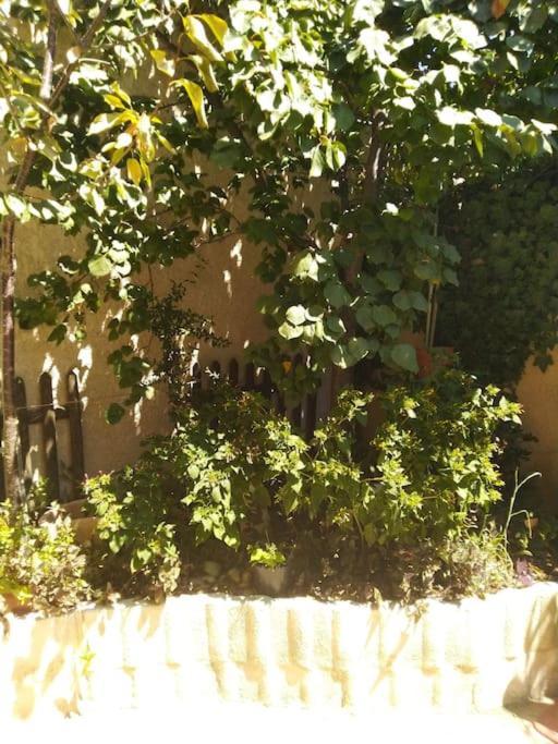 Studio Ideal Pour Deux Voyageurs Sur Marseille Exteriör bild